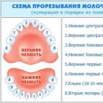 Прорезывание верхних зубов у детей: фото, симптомы